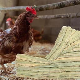 Hasenbett, Stroh-gewebtes Lukenhaus, Kleintierbett für Kaninchen, Frettchen, weiche Funktion, leicht zu reinigende Funktion, Haustierwerkzeug, Käfigzubehör für Vogelstall, Bauernhofzucht — thumbnail 3