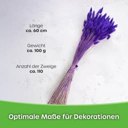Dekogras gedroogd gras, siergras, konijnenstaarten, Lagurus Ovatus, fluwelen gras, hazenstaartgras, gedroogde bloemen, natuurlijk, boho, 120-150 stuks, 100 g, oranje — thumbnail 3