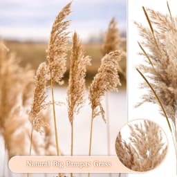 Gedroogd Pampasgras - 45 stuks Natuurlijke Gedroogde Bloemen Decoratie, Bruin Pampas Gras Pluizige Vruchtjes, Pampas Gedroogde Bloemen Boeket voor Bruiloft Tafel Decoratie Woonkamer — thumbnail 2