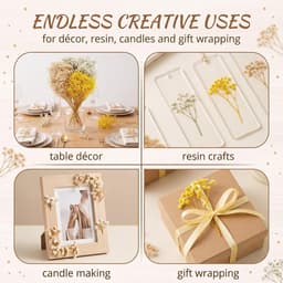 Gedroogde sluierkruid, gedroogde bloemen met geel-witte bloemen, 15 cm lang, voor doe-het-zelf knutselen, kaarsenmaken, harskunst en natuurlijke decoraties — thumbnail 5