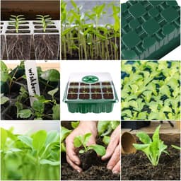 12 stuks kamerkas, 144 cellen, mini-broeikas, kweekset, starter, kweekschaal met deksel en ventilatie voor zaailingen, planten — thumbnail 3