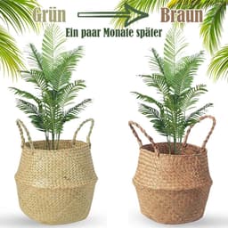 2 stuks zeegras opbergmanden met handvatten - Geweven opvouwbare ronde speelgoed- en wasmand voor planken (24×20 cm) — thumbnail 5