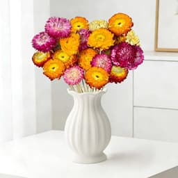 Gedroogde bloemen, 20 stuks veelkleurige gedroogde madeliefjes met stengels voor bruiloft, thuis en op kantoor, feestdecoratie — thumbnail 1