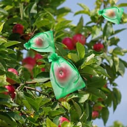 Gaasmanden voor Fruit - Netzakken Bescherming - Fruit Beschermen - Met Trekkoord - 100 stuks - Groen — thumbnail 3