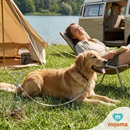 Dailygoods- Grondanker Spiraalvormig - Verankeringsspiraal voor Honden - Ideaal voor Buiten - Camping/Tuin - Veilig en Stevig - Hondenspiraal — thumbnail 3