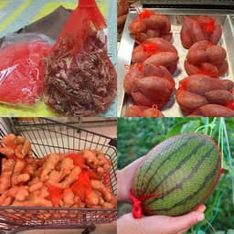 100 stuks herbruikbare netzakken, fruitnetzakken eiernetzakken met netsluiting, watermeloennetjes voor boodschappen doen en het opbergen van fruit en groenten (rood) — thumbnail 4