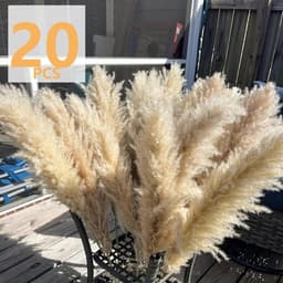 natuurlijke pampastelen, hoge decoratie, voor bruiloft, feest — thumbnail 4