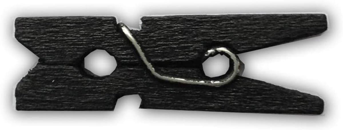 Houten Mini Wasknijpers 15 Kleuren - 100 Stuks - 1 Inch (2.5cm) — afbeelding 1