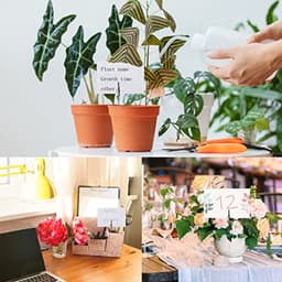 50 Stuks Foto Alligator Clips voor Kaarten en Notities - Memo Clip Houder voor Feestdecoraties — thumbnail 2