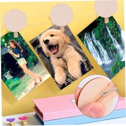 24 delige houten clips set voor knutselen en decoratie - Fotoclips van hout voor huis- en kantoordecoratie — thumbnail 5