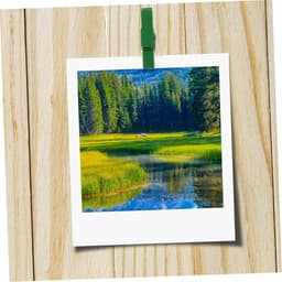 Houten Punaise Clips - Duimspijkers - Berichten Bevestigen - Stevig Hout Metaal - 50 Stuks - Meerkleurig — thumbnail 4