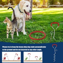 Grondankers voor honden - duurzaam, roestvrij, 360 graden draaibaar voor grote en middelgrote honden — thumbnail 1