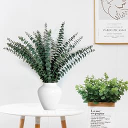 Gedroogde eucalyptusbundel, 45,7 cm, natuurlijke groene eucalyptusplant, echte eucalyptusstengels, eucalyptustakken, douche, eucalyptus, hangende geconserveerde eucalyptus voor bloemstuk — thumbnail 5