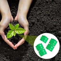 plantenbewortelingsdoos, balpluggen, apparaat, vermeerderingsdoos, wortels, planten, tuin, assistent, controller, wortel, snijden, plantkundige controller, S, groen (20 stuks) — thumbnail 2