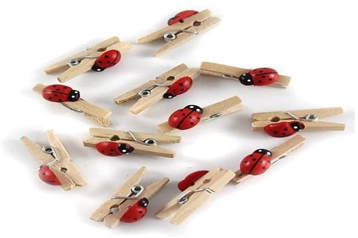 Lieveheersbeestje mini wasknijper, hout, meerkleurig, 11 x 5,6 x 1 cm, 12 stuks — afbeelding 1
