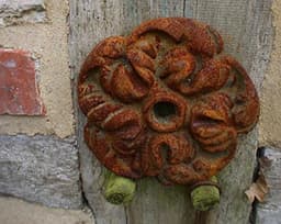 Decoratief Muuranker Rozenbloesem - Antiek Sieranker voor Gevel of Tuinmuur — thumbnail 1