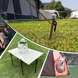 30 cm stormbestendige tentharingen met lichtgevende ringen en touw - set van 8 — thumbnail 3