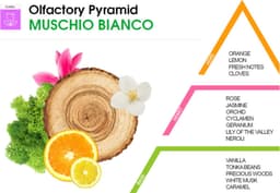 Wasparfum Muschio Bianco  250ml – HygienFresh — thumbnail 2