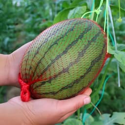Fruitnetzakken - Watermeloen netten - Fruit beschermen - Met trekkoord - 45 cm - Rood — thumbnail 4