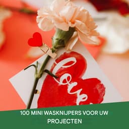 EXCITAT 100 stuks - Wasknijpers - Houten clips - Multifunctioneel - Geschikt voor het bevestigen van foto's, het sluiten van cadeauzakjes, decoratie — thumbnail 3