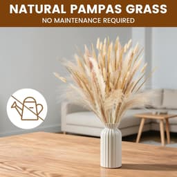 Gedroogd Pampasgras, 120 stuks Pampasdecoratie — thumbnail 2