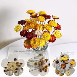Bloemen, decoratie, 20 stuks, boeket, gedroogde bloemen, boeket, 32 cm, chrysanten, gevlochten, bloemen, natuurlijke planten voor huis, bruiloft, tafeldecoratie — thumbnail 2