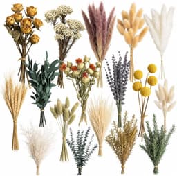 16 soorten droogbloemen, klein, voor vaas en DIY-decor — thumbnail 1
