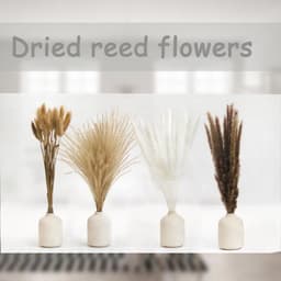 49 Stuks Pampas Gras Gedroogd Natuurlijk, Pampas Gras Gedroogd, Natuurlijke Gedroogde Bloemen voor Boho Woonkamer, voor woonkamer, tafel, slaapkamer, bruiloft, badkamer — thumbnail 4