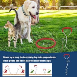 Grondankers voor honden - duurzaam, roestvrij, 360 graden draaibaar voor grote en middelgrote honden — thumbnail 4