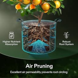 Kweekzakken 5-pack 20L - Dikke vliesstof met handgrepen voor aardappelen, tomaten en aardbeien — thumbnail 4