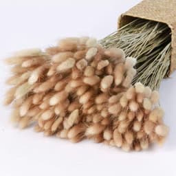 Pampas, 60 Stuks Natuurlijke Droogbloemen, Pampasgras, Konijnenstaart, Boho-Decoratie, Super Pluizig voor Thuis, Bruiloftsdecoratie (Natuurlijke Kleur) — thumbnail 3