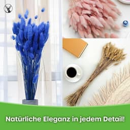 Dekogras gedroogd gras, siergras, konijnenstaarten, Lagurus Ovatus, fluwelen gras, hazenstaartgras, gedroogde bloemen, natuurlijk, boho, 120-150 stuks, 100 g, oranje — thumbnail 2