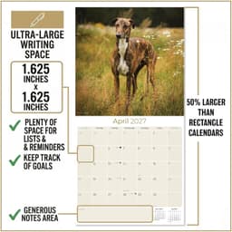 2022 2023 Greyhound-kalender - Hondenras maandelijkse muurkalender - 12 x 24 open - dik niet-ontluikbaar papier - cadeau - Academische lerarenplannerkalender organiseren en plannen - Made in USA — thumbnail 2