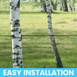 Dailygoods- Waslijn Verstelbaar van 1,8 tot 3 Meter - Draagbare Camping Waslijn - Inklapbare Reiswaslijn - 12 Klemmen - Lichtgewicht en Duurzaam Touw - Kledinglijn — thumbnail 4