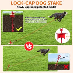 Grondanker Hond - Hondenpen - Veilige Vastzetting - Cap-lock Systeem - 44 cm - Rood — thumbnail 4