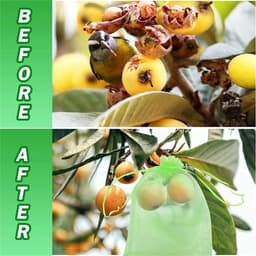 Fruitbewaarzakken - Gaaszakken - Oogst beschermen - Ademend materiaal - 100 stuks - Groen — thumbnail 2
