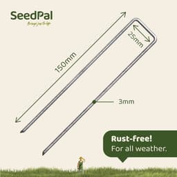 SeedPal Grondankers/Haringen Anti Roest - 100 Stuks - Roestvrije & Verzinkte Bodemankers Voor Bevestiging - 150 mm x 30 mm x Ø3 mm - Aardnagels/Bodemhaken Van Staal - Grondverankering/Bodembevestiging — thumbnail 4
