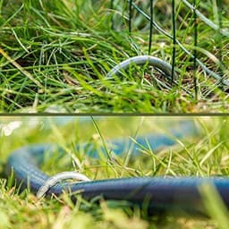 Grondankers van gecoat staal - Sterke en duurzame haringen voor tuin en camping — thumbnail 2