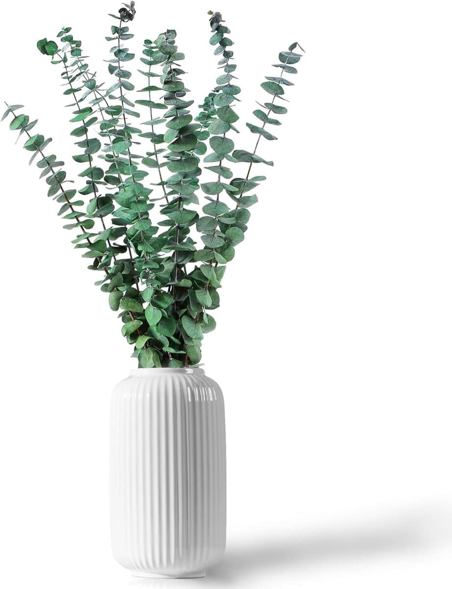 Gedroogde gedroogde gedroogde bloemen decoratief 45 cm natuurlijk fris groen met echte eucalyptusbladeren plant ideaal voor vazen bloemstukken bruiloftsdecoraties en wooncultuur — afbeelding 1