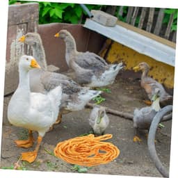 Voer Netzak - Hooi Net - Langzaam Voeren - Verstelbare Voerhoeveelheid - 54 cm - Geel — thumbnail 3