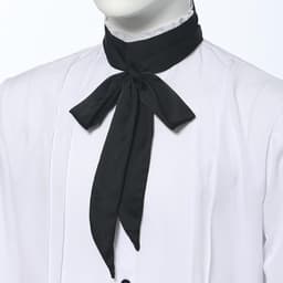 zijden skinny sjaal, multifunctionele lange stoffen stropdas, 200x5cm, Regency Cravat, Victoriaanse ascot, renaissance halsdoek, mode haaraccessoire, cosplay kostuum stropdas — thumbnail 5