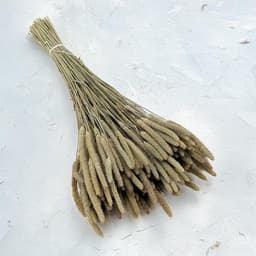 Mech-mech Gedroogd Timothy-gras - naturel — thumbnail 3
