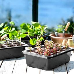 Propagator Tray, 3 Set Kiemlade met Vochtigheid Verstelbare Kas Plant Starter Grower Kwekerij Box voor Zaad Beginnen en Groeien (12 Cellen per Dienblad) — thumbnail 3