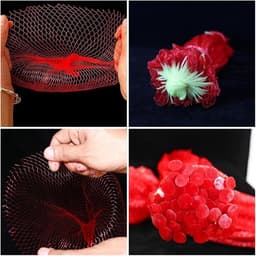 Fruit Bescherming Netjes - Herbruikbare Netzakken - Groenten Fruit Opslag - Sterk Nylon Mesh Materiaal - 45 cm - Rood — thumbnail 5