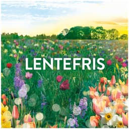 Lenor Geurbooster Zonnige Lentedag - 6 x 240 gram - Wasparfum — thumbnail 4