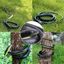 Speelgoed Nep Slang 130cm Zachte Rubberen Slang Tuin Props Grappige Grap. — thumbnail 4
