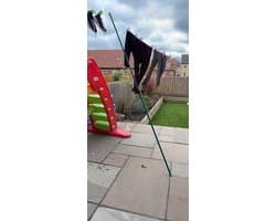 Waslijn Steunpaal - Kledingsteun Uitschuifbaar - Buiten Was Drogen - Verstelbaar Twist Lock - 1.5m tot 2.2m - Groen Zwart