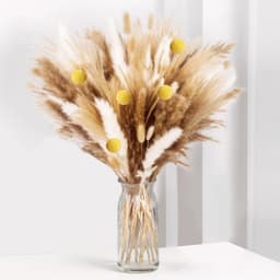100-delige Pampas Gras droge bloemen decoratie, Fluffy droge bloemen, droge bloem boeket voor bruiloft tafel vazen Woonkamer Boho Home Decor (luxe) — thumbnail 1