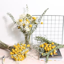 Gedroogde bloemen, 36 stuks, Craspedia Globes Decor, gedroogde bloemen, geel, natuurlijke droge plant voor doe-het-zelf bloemstukken, bruiloft, thuis, hoge vaas — thumbnail 4
