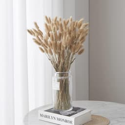 Pampasgras, 60 stuks, boho-plant, natuurlijke gedroogde bloemen, decoratieve pampa's voor wooncultuur, tafel, bruiloft (primaire kleur) — thumbnail 1